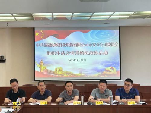 格式工廠永安分公司鮑玉婷：海峽科化永安分公司黨委“實戰(zhàn)演練”推動組織生活會嚴起來、活起來、實起來 (2).jpg